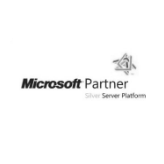 Microsoft Partner