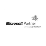 Microsoft Partner