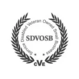 SDVOSB