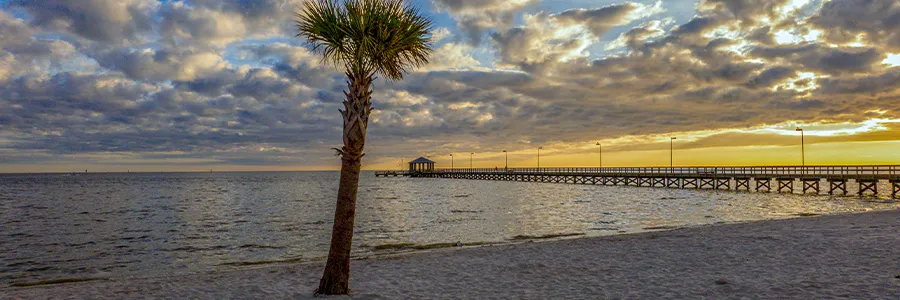 Why Gulf Coast Businesses Trust AGJ Systems with IT Management